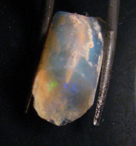 Fossile pipe belemnite - o&co,