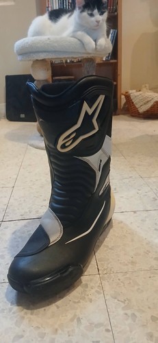Botte moto homme alpinestar - botte,