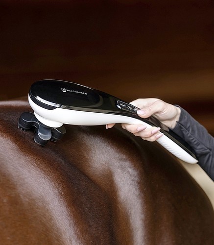 Electric horse massager - electric,