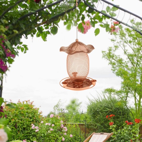 Mangeoire oiseaux - mangeoire, à