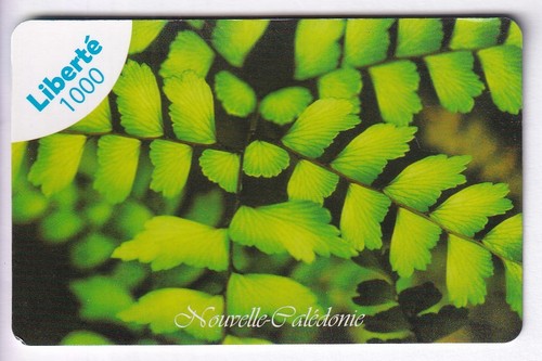 Nouvelle caledonie telecarte - caledonie, /