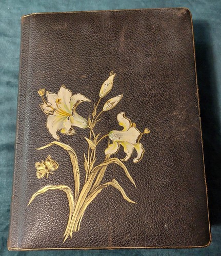 Album cartes postales cuir