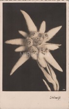 Photo, carte postale