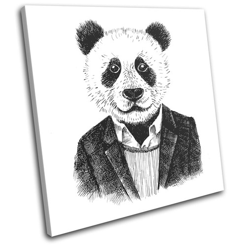 Hipster animals panda bear - hipster,