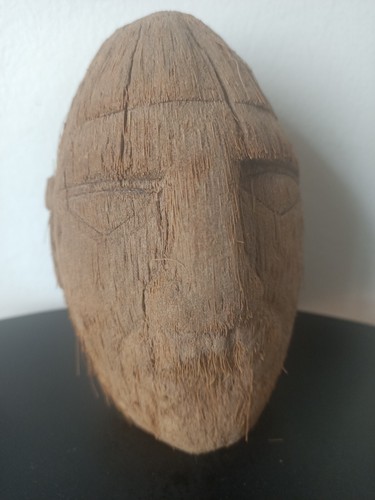 Tête sculptée noix coco - tête, de