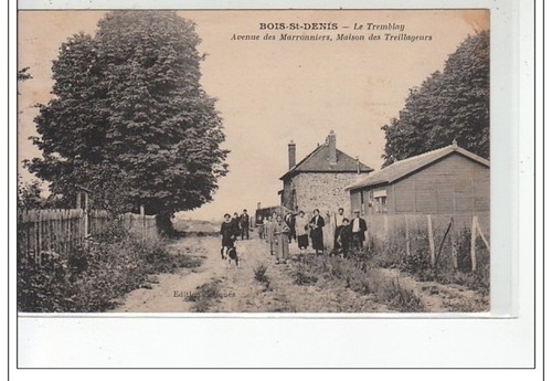 Bois saint denis le tremblay - bois,