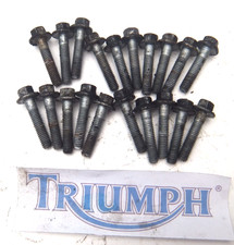 Triumph Daytona 955i Carter