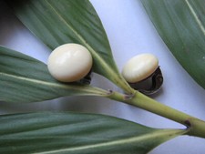 ART DECO Boucle d'oreilles