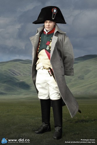 Did corp e60079 napoleon - corp,