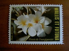 Wallis et Futuna  PA 134 ** MNH sans charniere année 1984 Flore Frangipanier Fle
