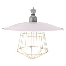  Chicken Heater Little Pig