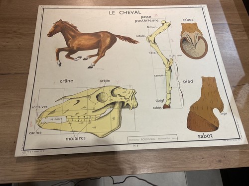 Carte affiche scolaire - carte,