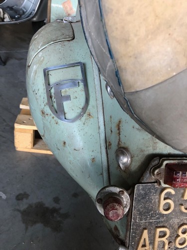 Vespa acma plaque - vespa, f