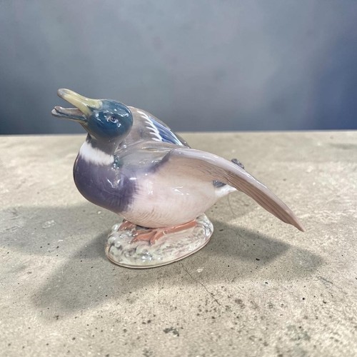 Canard royal copenhague - royal,