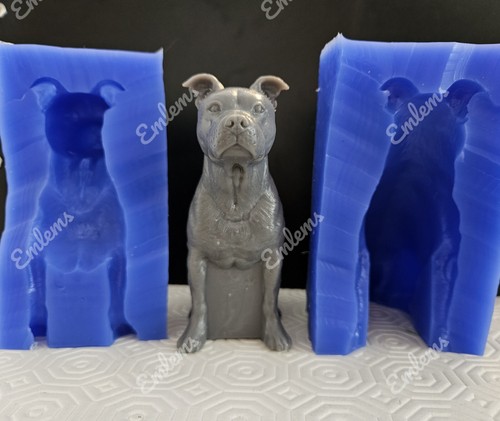 Staffordshire bull terrier - bull,