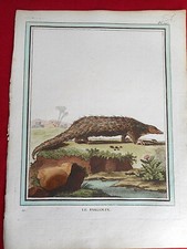 57 GRAVURE XVIIIe  Histoire