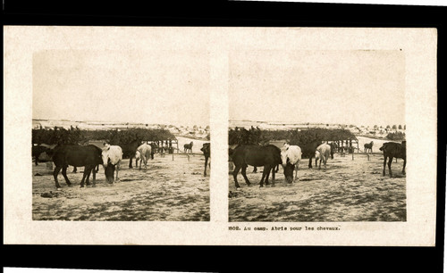 Guerre 1914 camp - au, camp,