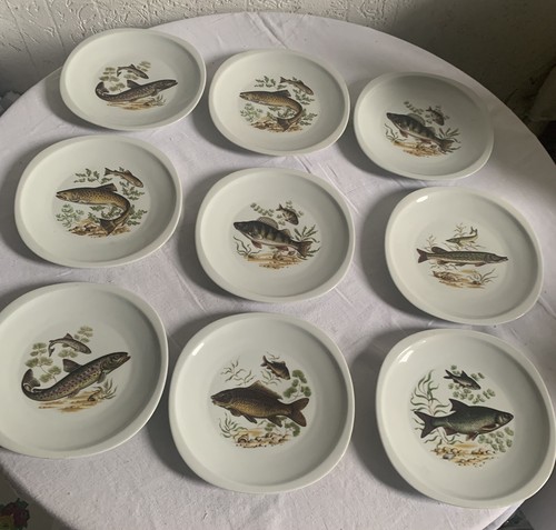 Assiettes plates porcelaine - 9,