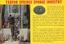 USA FLORIDA TARPON SPRINGS