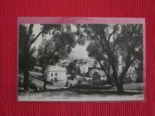 CPA ECRITE AJACCIO SOUS LES OLIVIERS CORSE