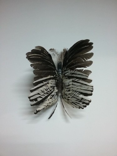 Butterfly decoration made from