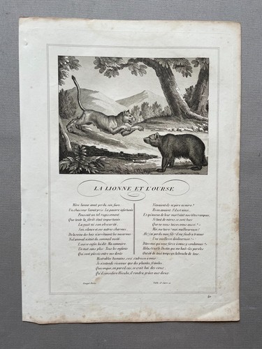 Lionne ourse fables - la,