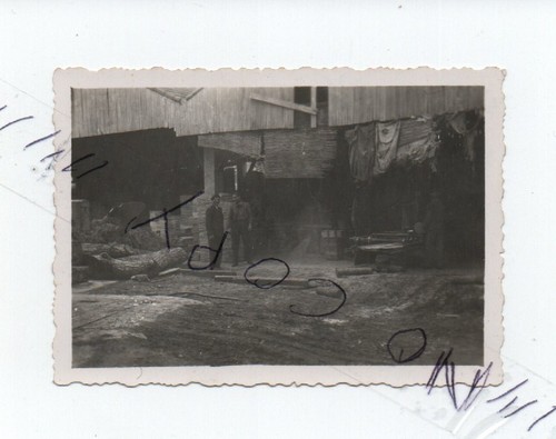 A1015 photo originale vintage - photo,