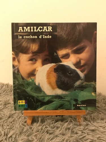 Cochon inde amilcar - cochon, /