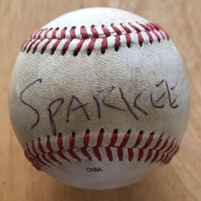 SPARKEE SUMMERSET PATRIOTS