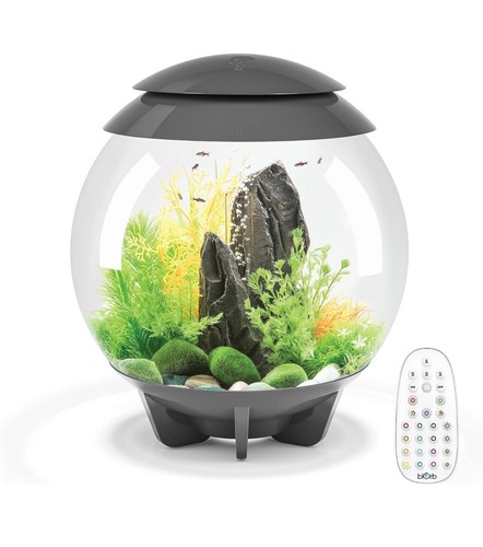 Biorb halo aquarium - 15, with
