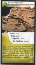 Carte Quick - Reptiles - Boa constrictor