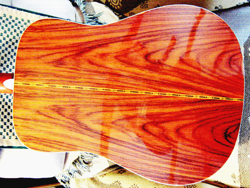 Mint takamine acoustic - mint,