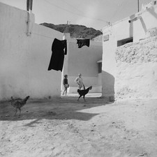 photo sur papier  argentique