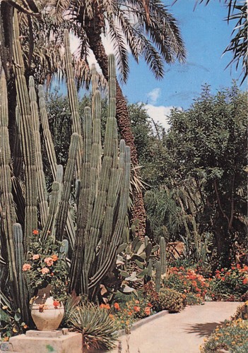 Maroc marrakech jardin - marrakech,