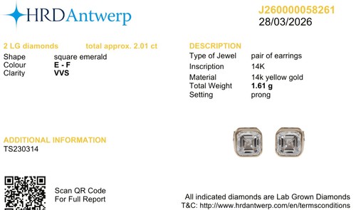 Puces diamants culture - puces,