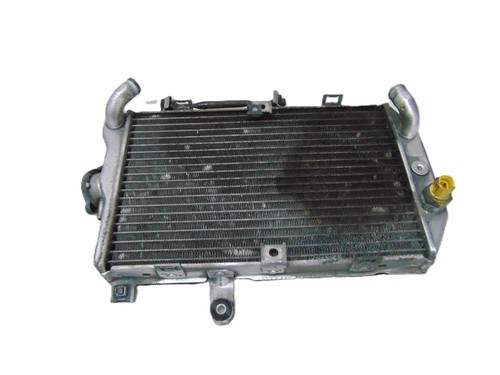Radiateur eau suzuki - suzuki, burgman