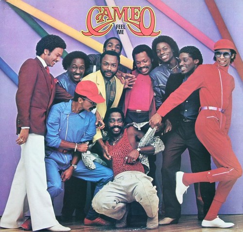 Vinyle cameo feel - cameo,