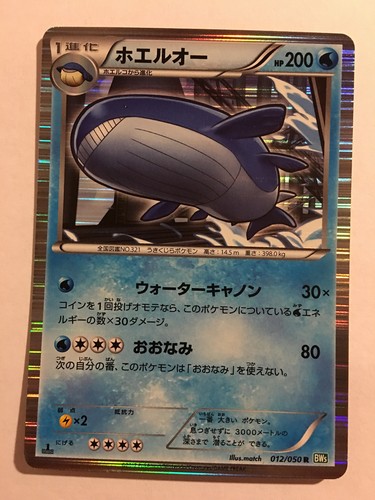 Pokemon carte card wailord - /,