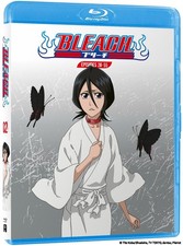 Bleach - Partie 2 (Episodes 28