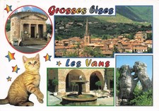 7 LES VANS LE BOIS DE PAIOLIVE