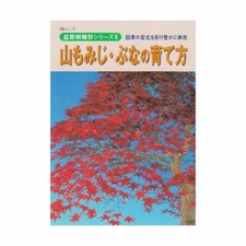 Livre Sur Le Bonsai De