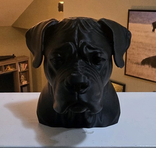 Cane corso bust - cane,