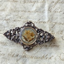 Broche Ancienne Métal Argenté 1900 Fleurs Séchées Antique French