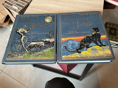 Livre jungle et le - le,