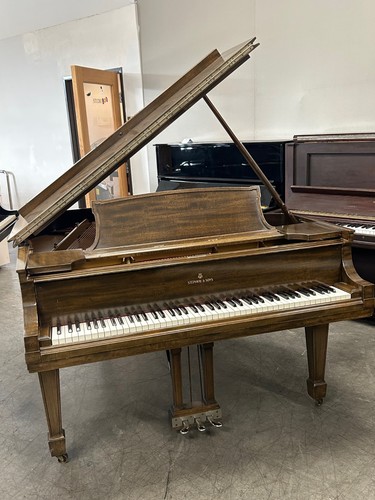 Steinway grand piano 10 - piano, 5'10"