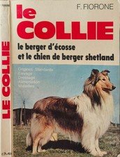 Le Collie - le berger