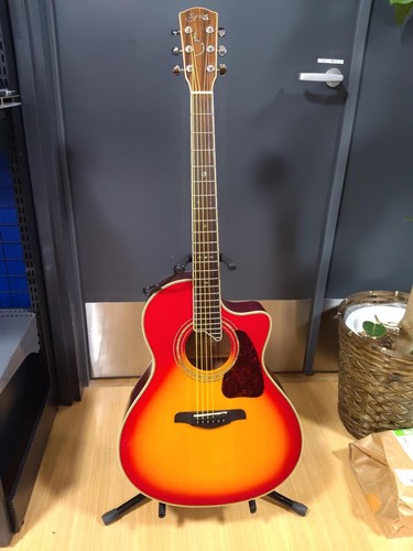 Guitare acoustique électrique