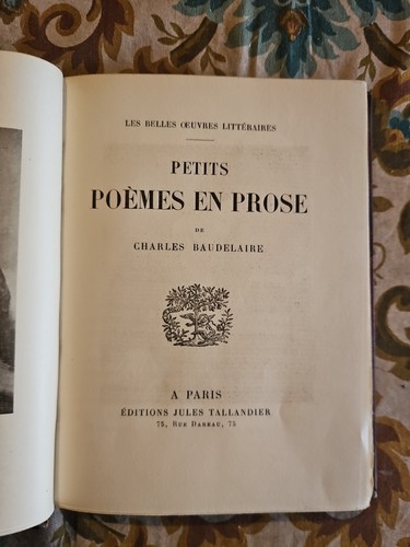 Petits poèmes prose - en,