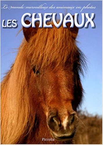 Livre les chevaux - livre,