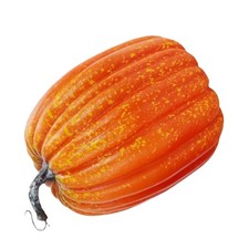Citrouilles D'automne